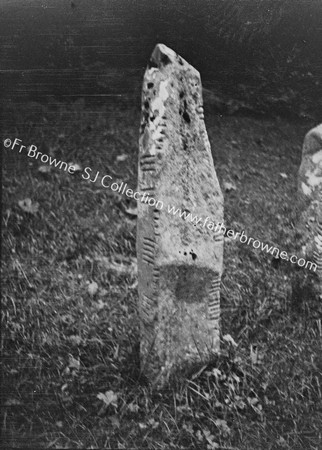 OGHAM STONES AT CONVENT